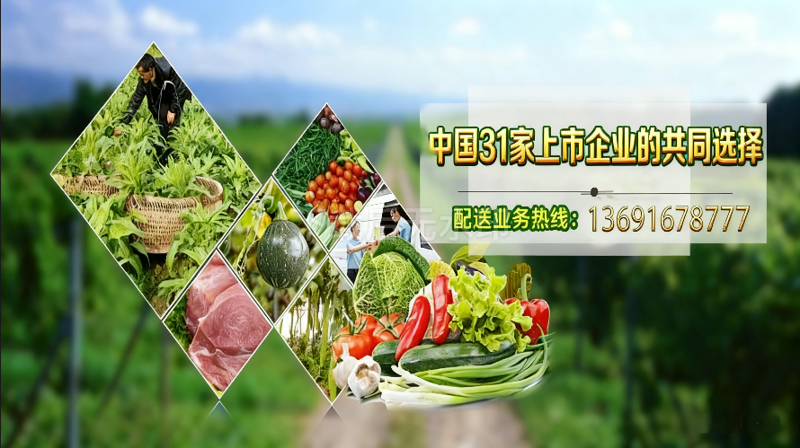 深圳生鮮蔬菜配送